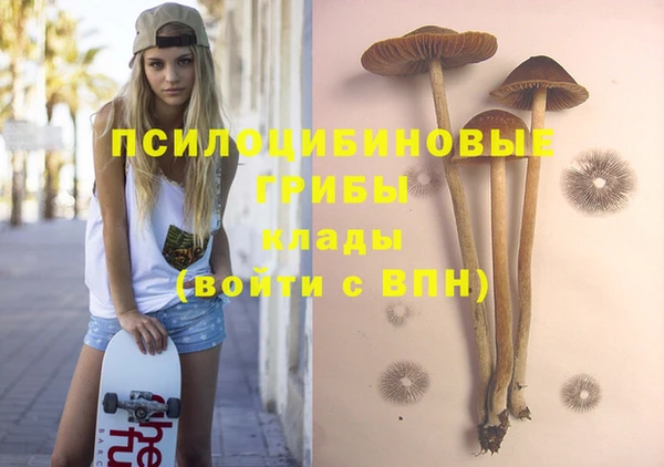 ГАЛЛЮЦИНОГЕННЫЕ ГРИБЫ Верхнеуральск