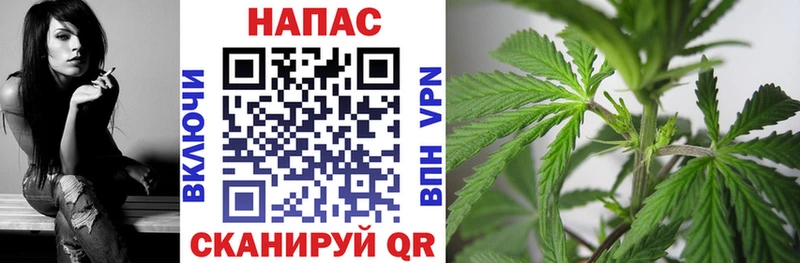 OMG онион Ноябрьск мориарти состав Шишки марихуана марихуана